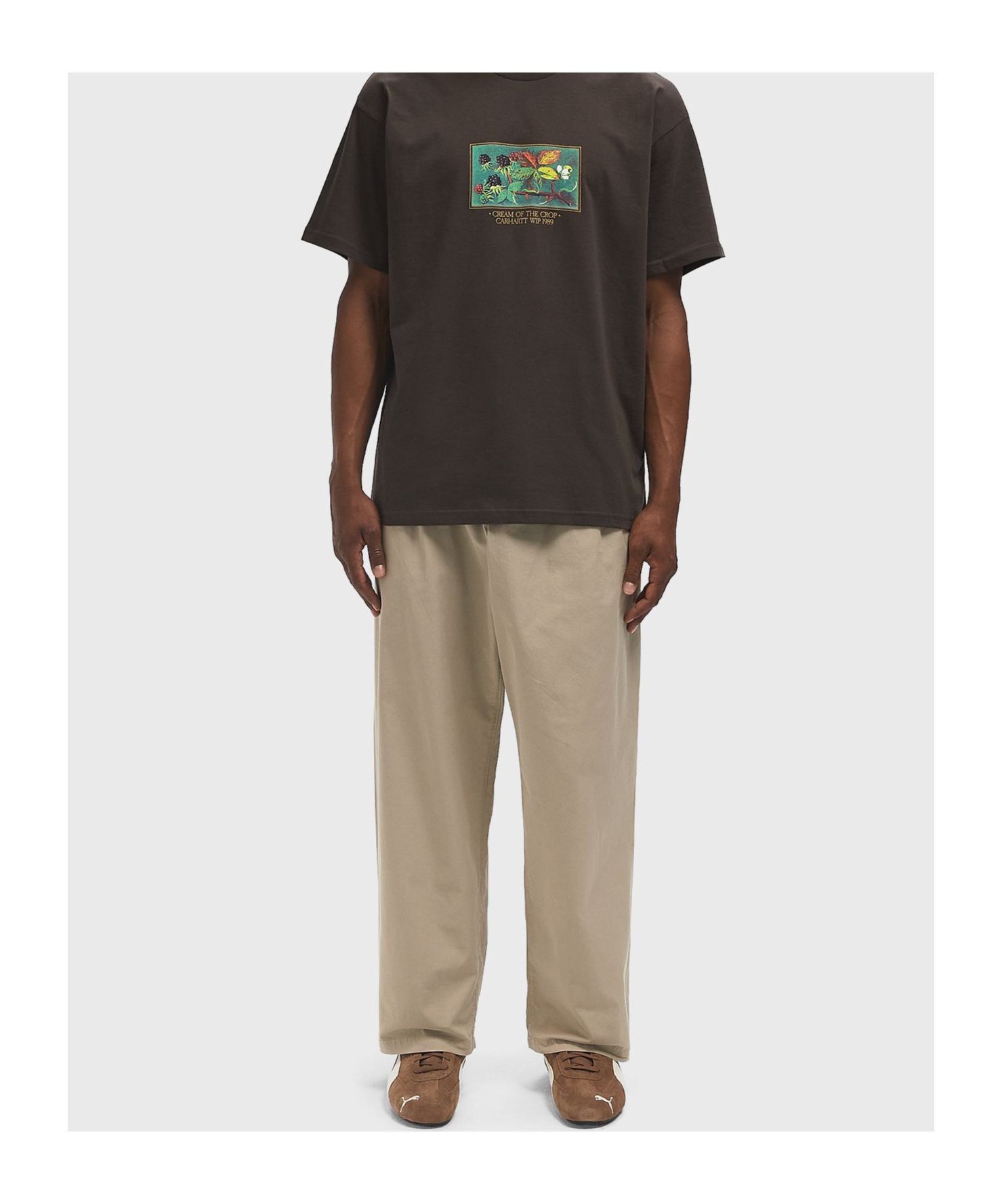 Carhartt Tailored Trousers With Front Pleats And Pockets In Brown