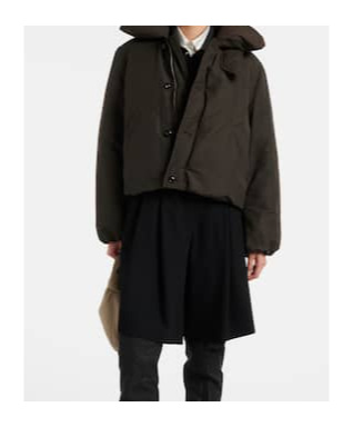 Lemaire Women Brown Water-repellent Puffer Blouson In Brown