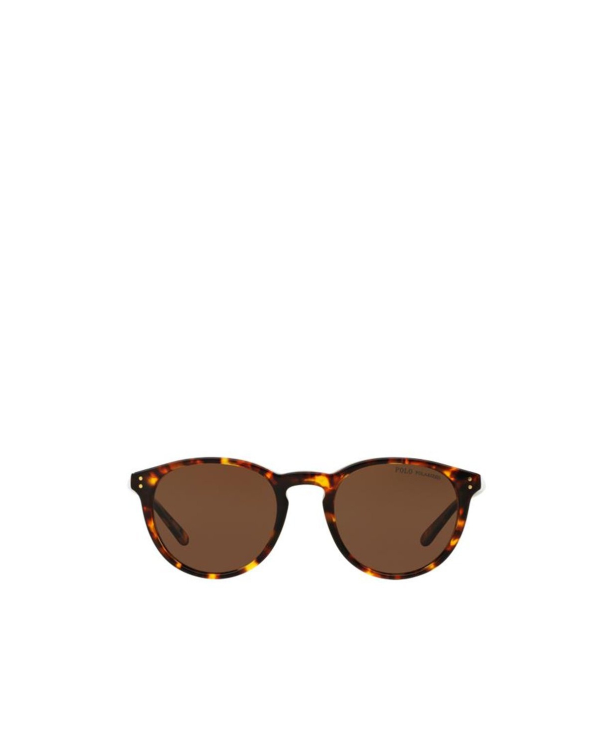 Polo Ralph Lauren Classic Panto Sunglasses In Brown