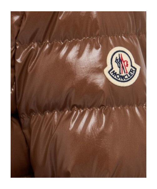 Moncler Down Jacket In Brown
