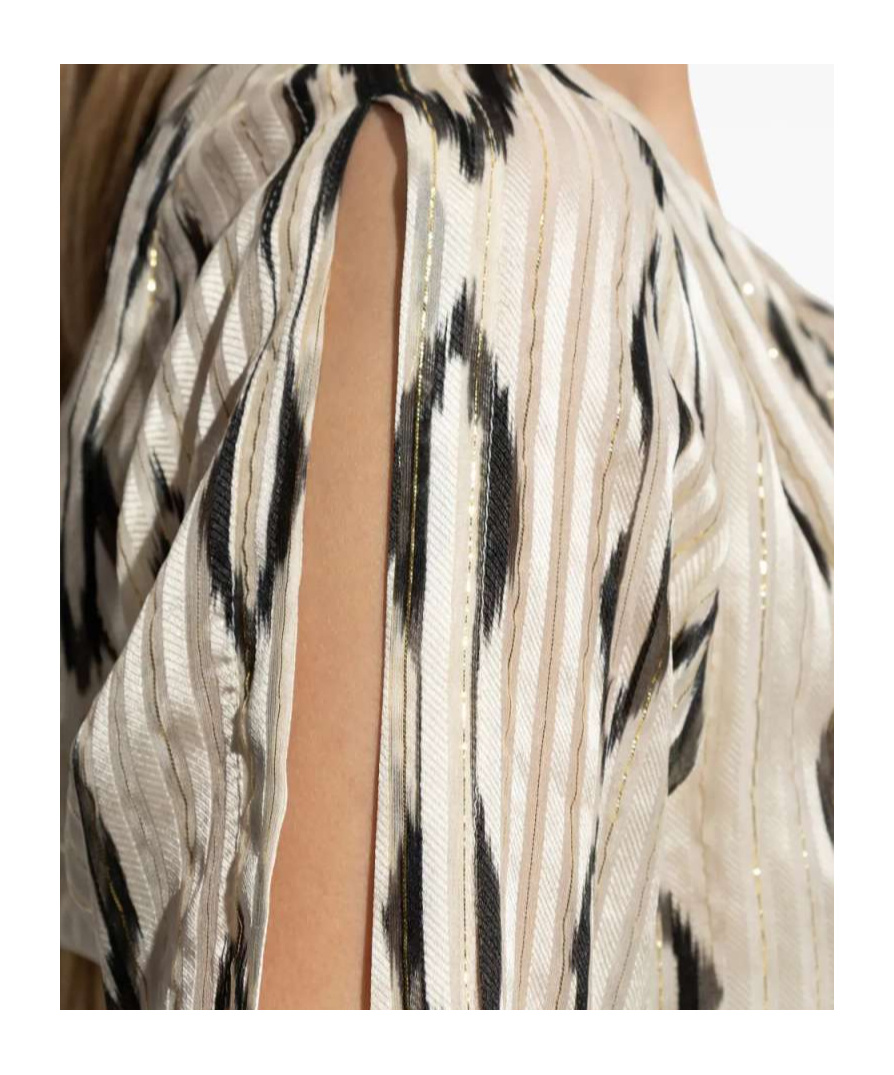 Isabel Marant Octavia Printed Mini Silk Dress In Neutral