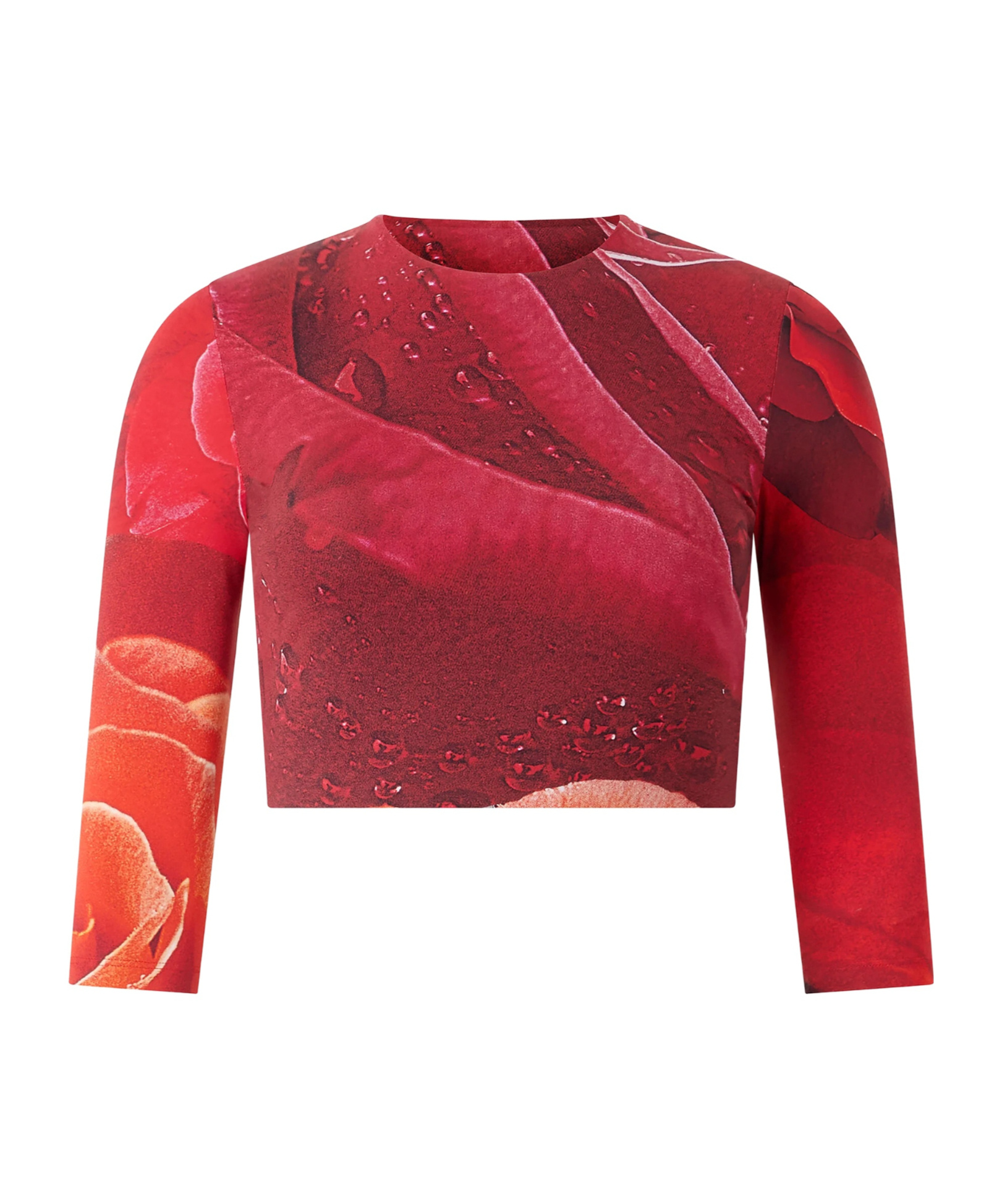ROBERTO CAVALLI ROSE-PRINT T-SHIRT