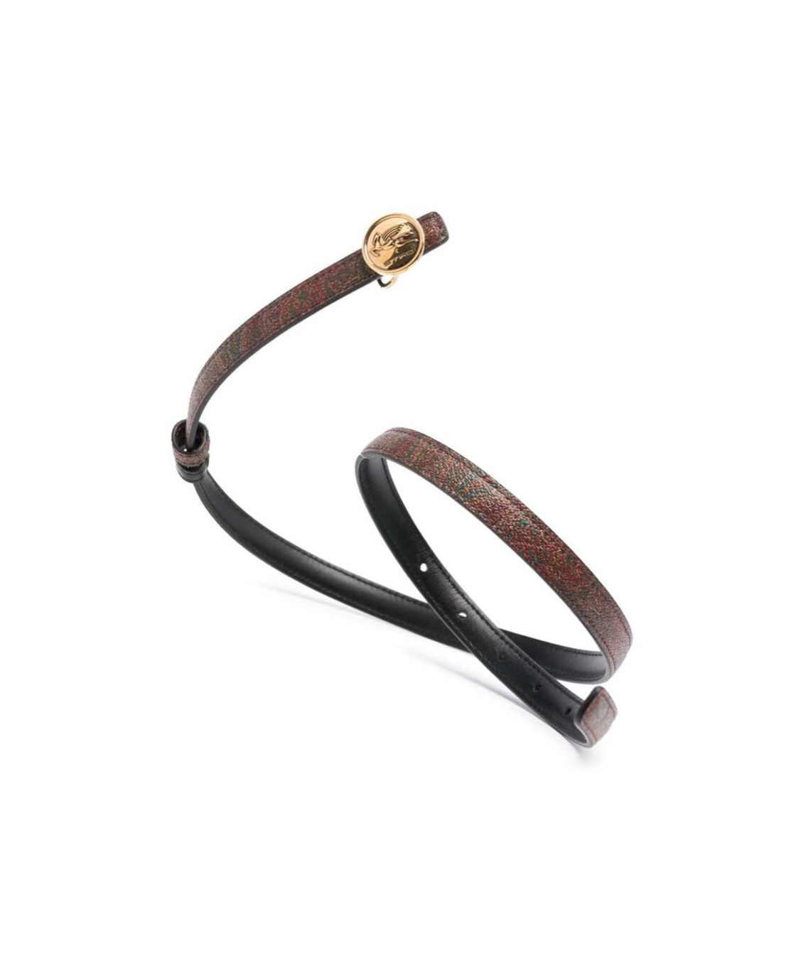 Etro Buckle Adjustable Waist Belt In Brown