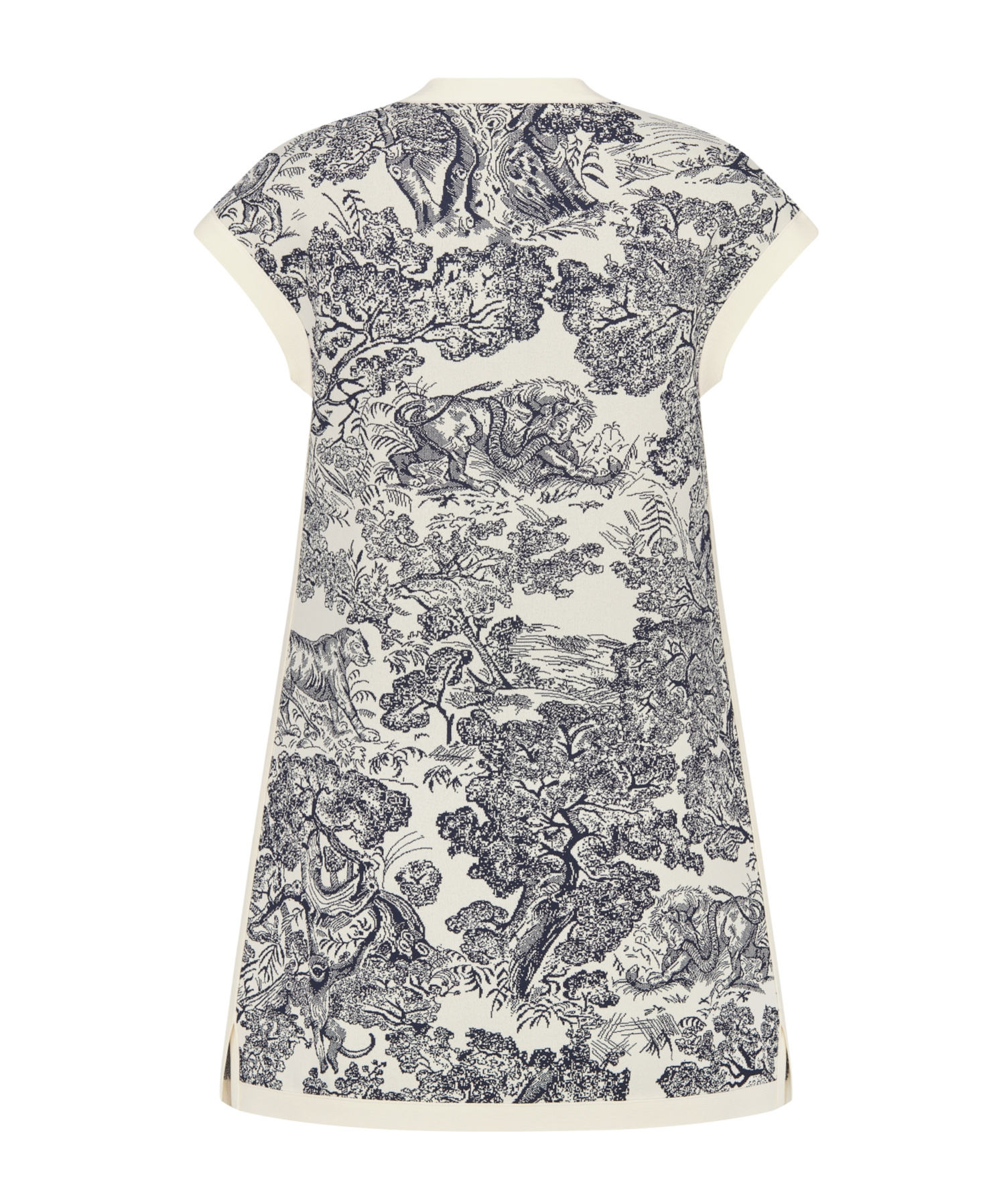 Dior Iviera Short Flared Dress In Multi
