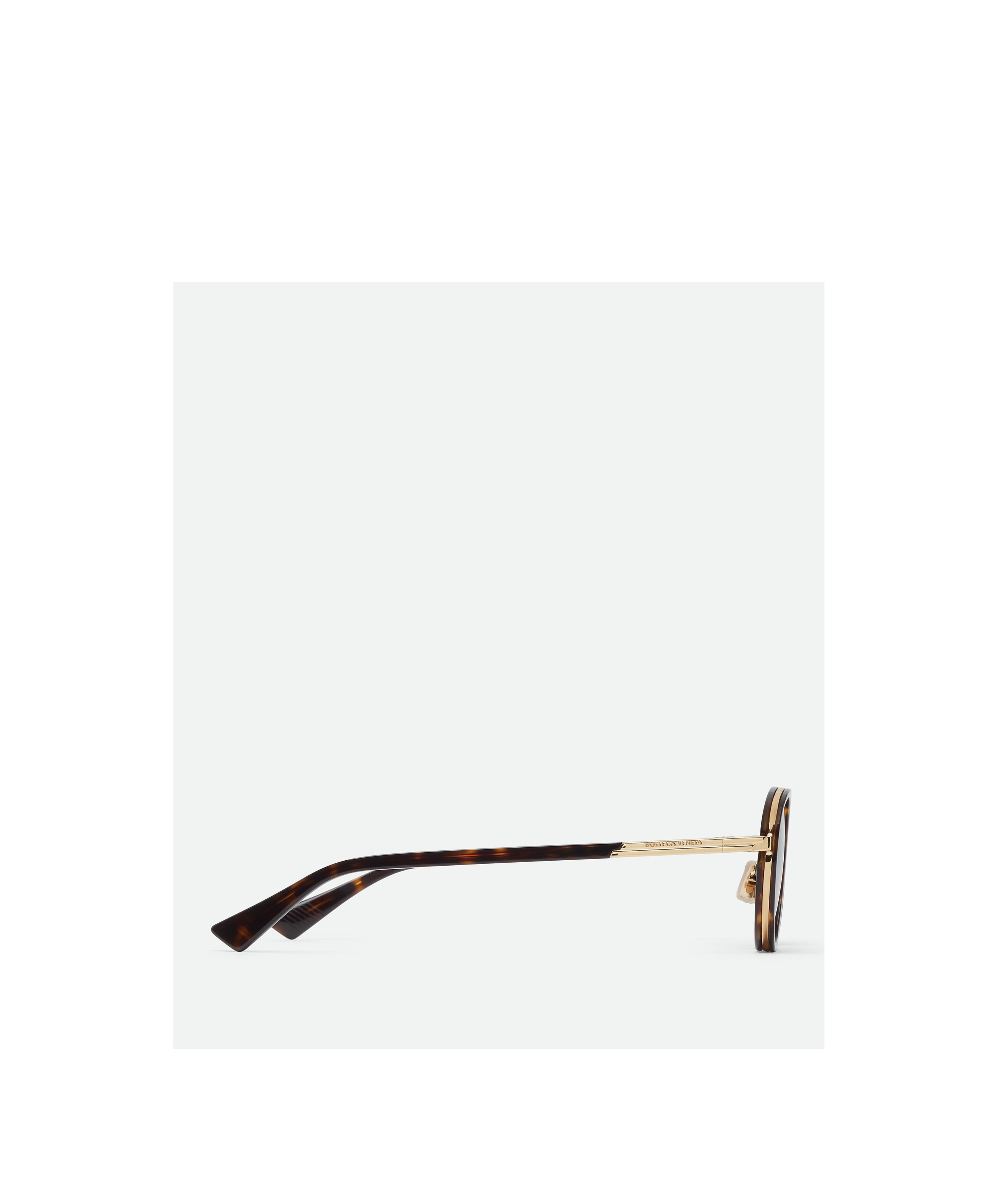 Bottega Veneta Forte Panthos Sunglasses In Brown