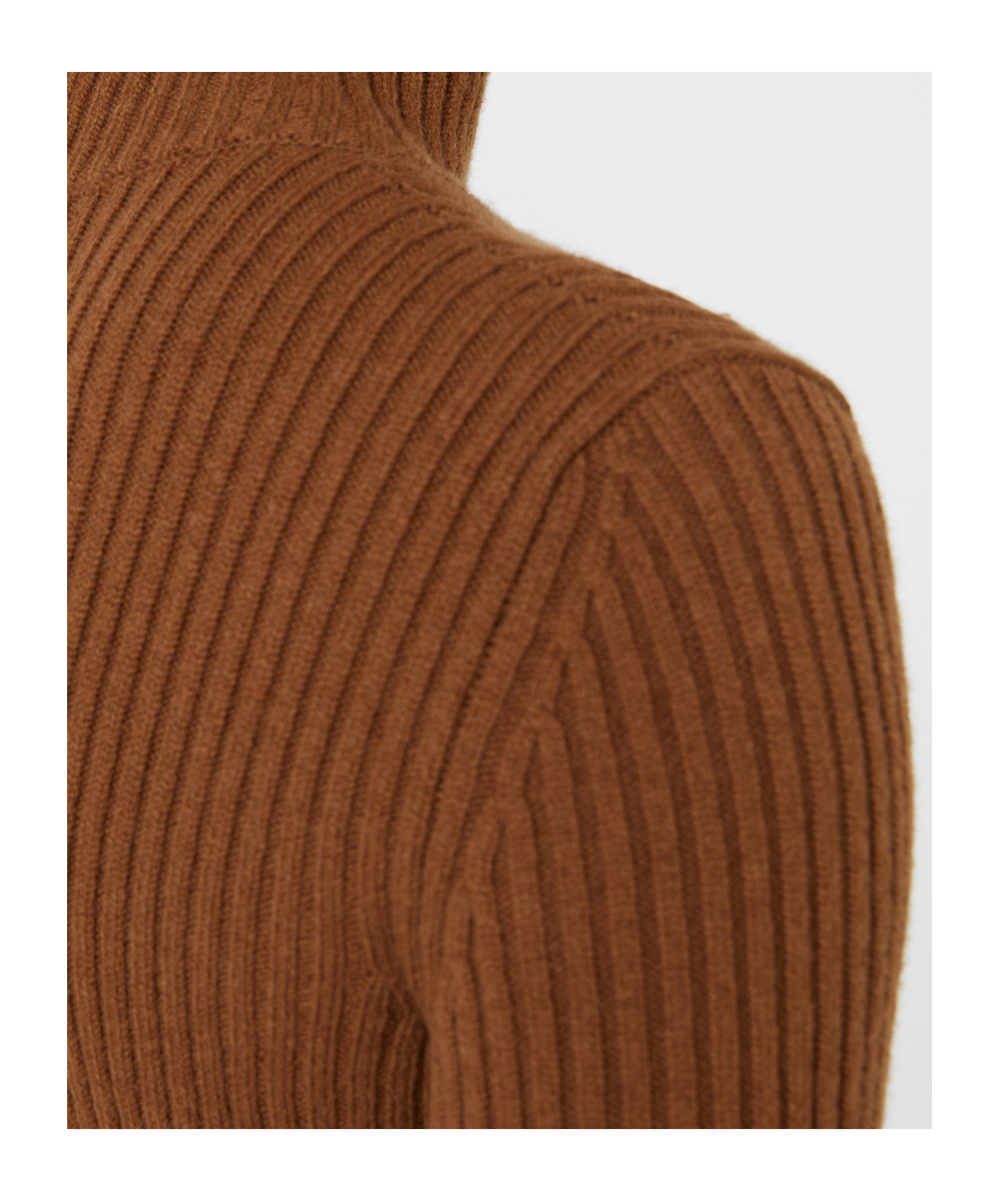 Max Mara Wool And Cashmere Ribbed Turtleneck In Brown