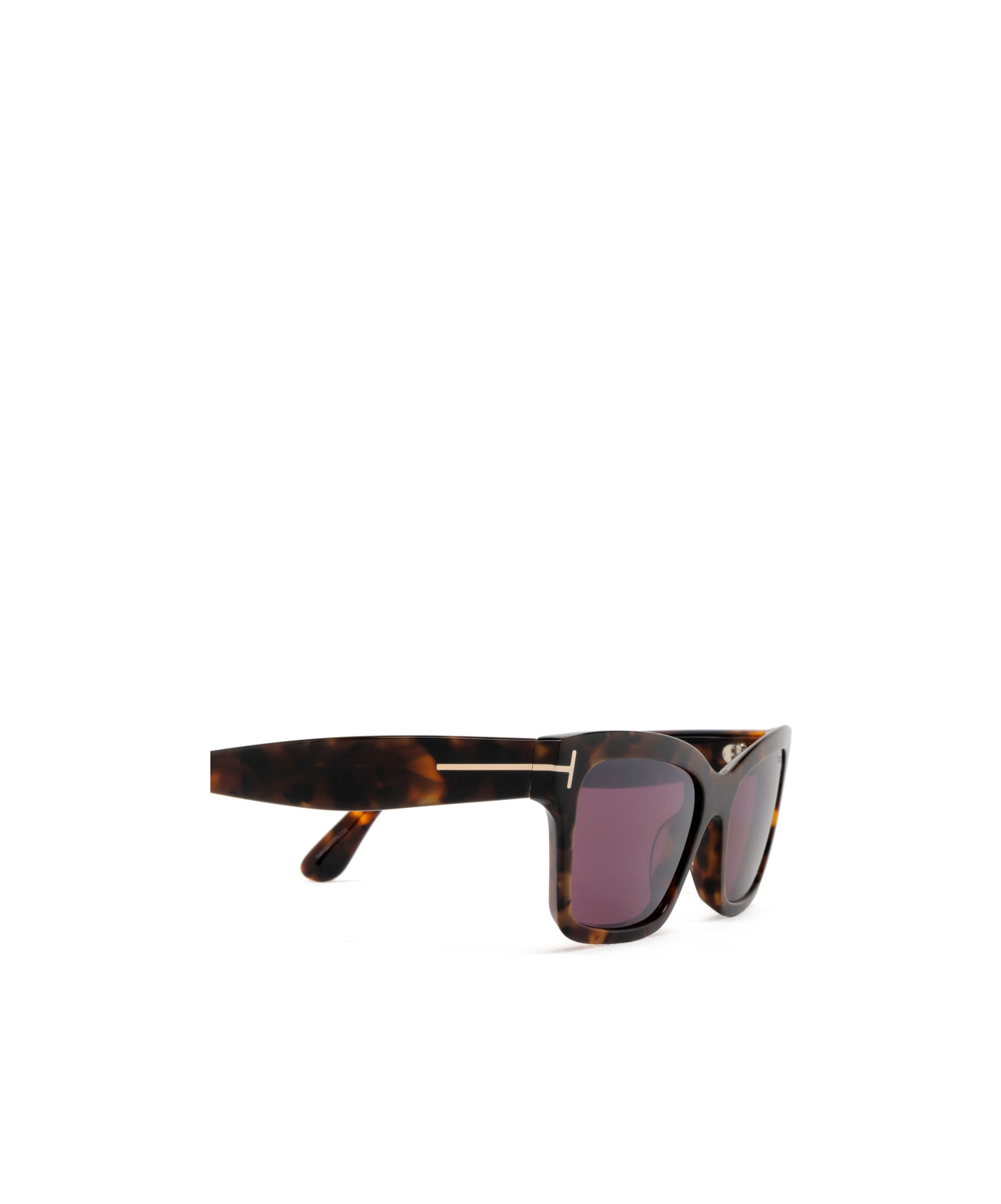 Tom Ford Eyewear Square Frame Sunglasses In Brown