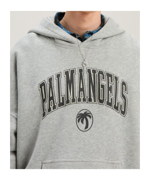 Palm Angels College Palm Logo Printed Hoodie In Gray