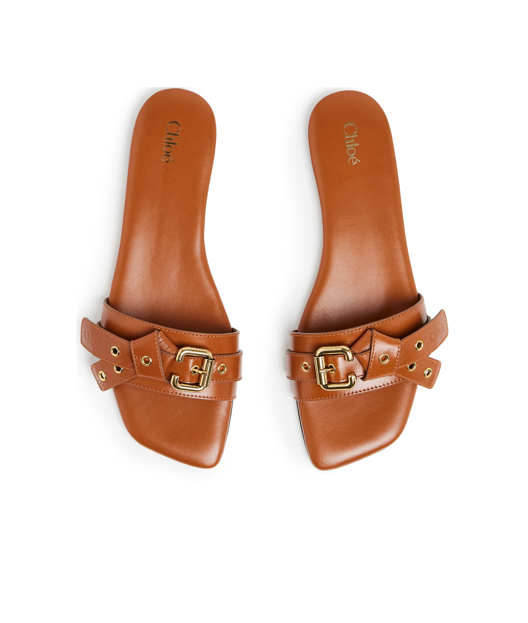 Chloé Mae Leather Buckle Flat Slide Sandals In Brown