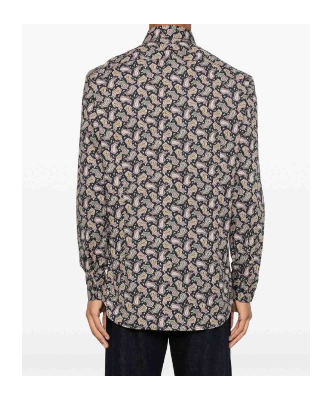 Etro Roma Paisley Print Shirt In Brown