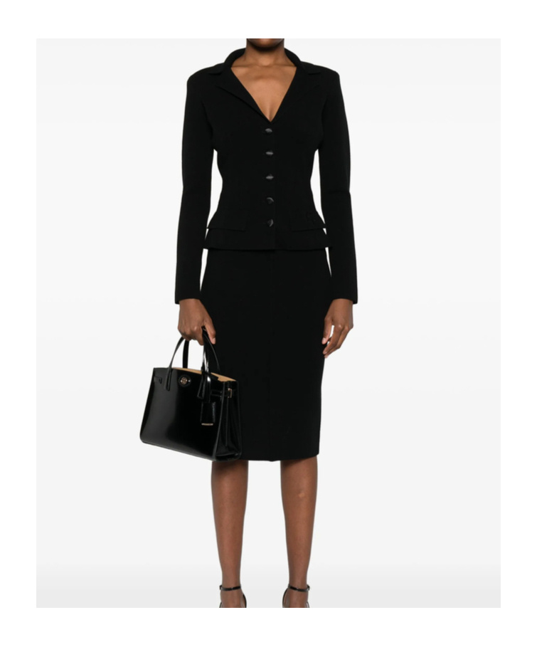 Elisabetta Franchi Button-fastening Fitted Jacket In Black