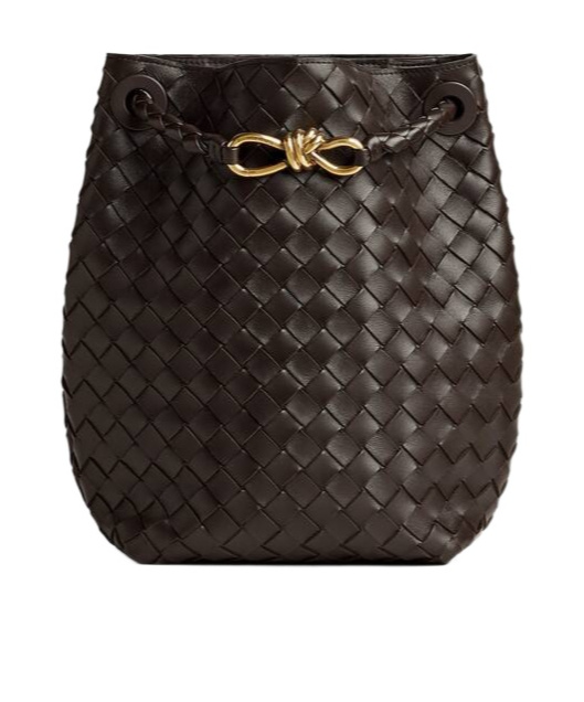 Bottega Veneta Small Andiamo Bucket In Black