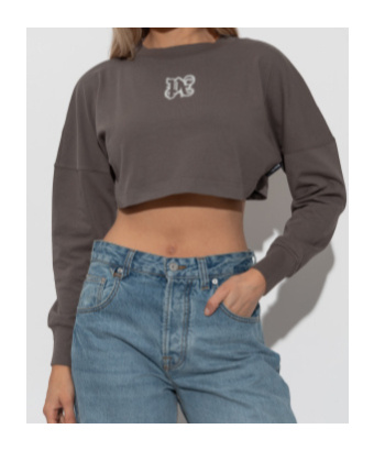 Palm Angels Long-sleeved Cropped Top In Gray