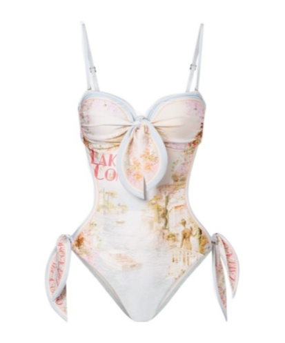 Zimmermann Printed Swimsuit In Gray