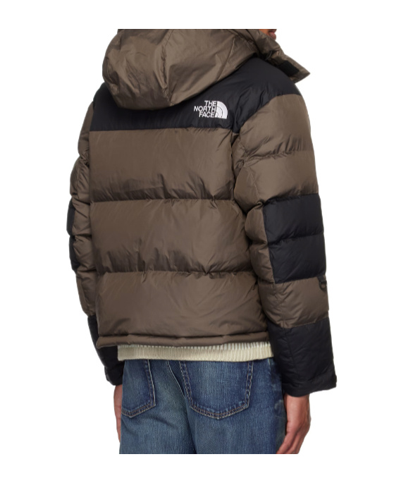 Shop The North Face Long-sleeved Down Jacket In Multicolor