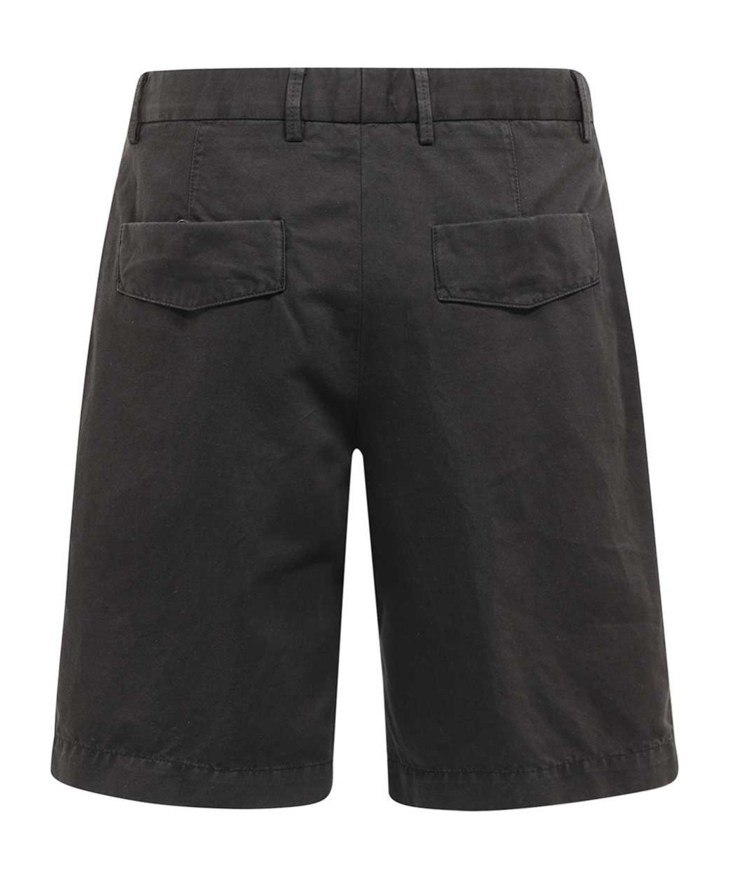 Zegna Pleated Chino Shorts In Black