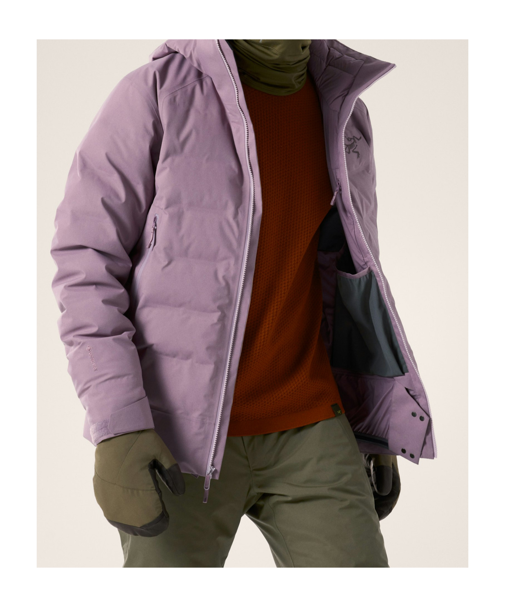 Arc'teryx Fisail Gore-tex Down Jacket In Interstellar