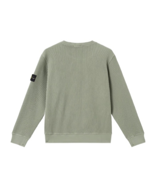 Stone Island Crewneck Sweatshirt In Organic Cotton Waffle Fleece In Sage