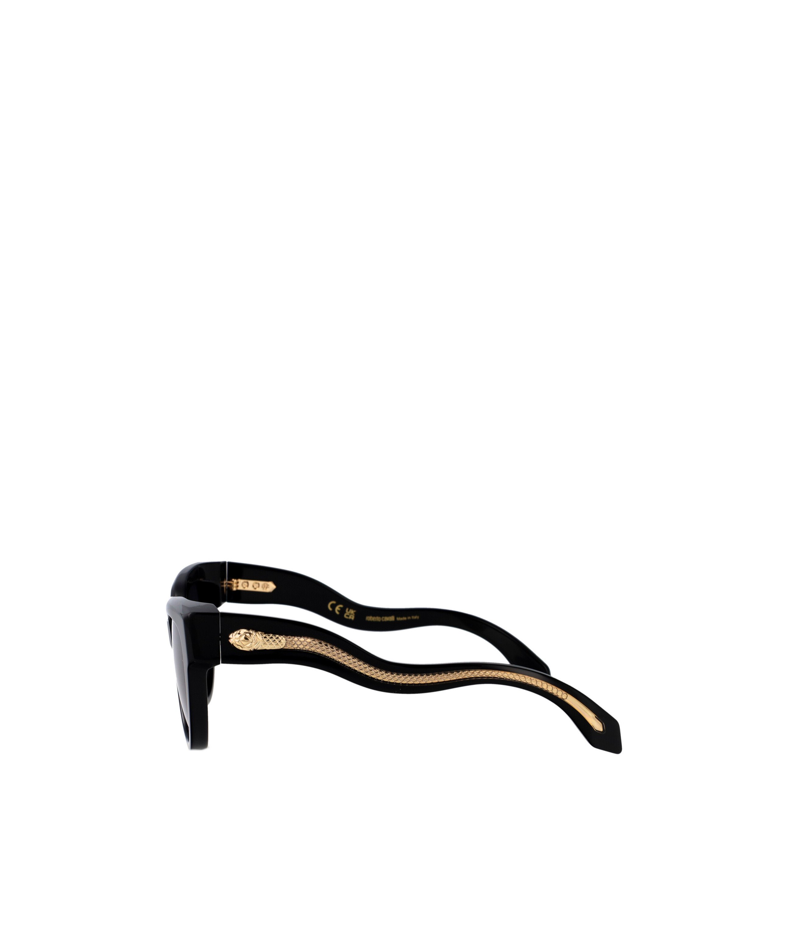 Roberto Cavalli Src054 Sunglasses In Black