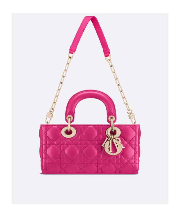 Dior Lady D-joy Small Leather Shoulder Bag In Pink