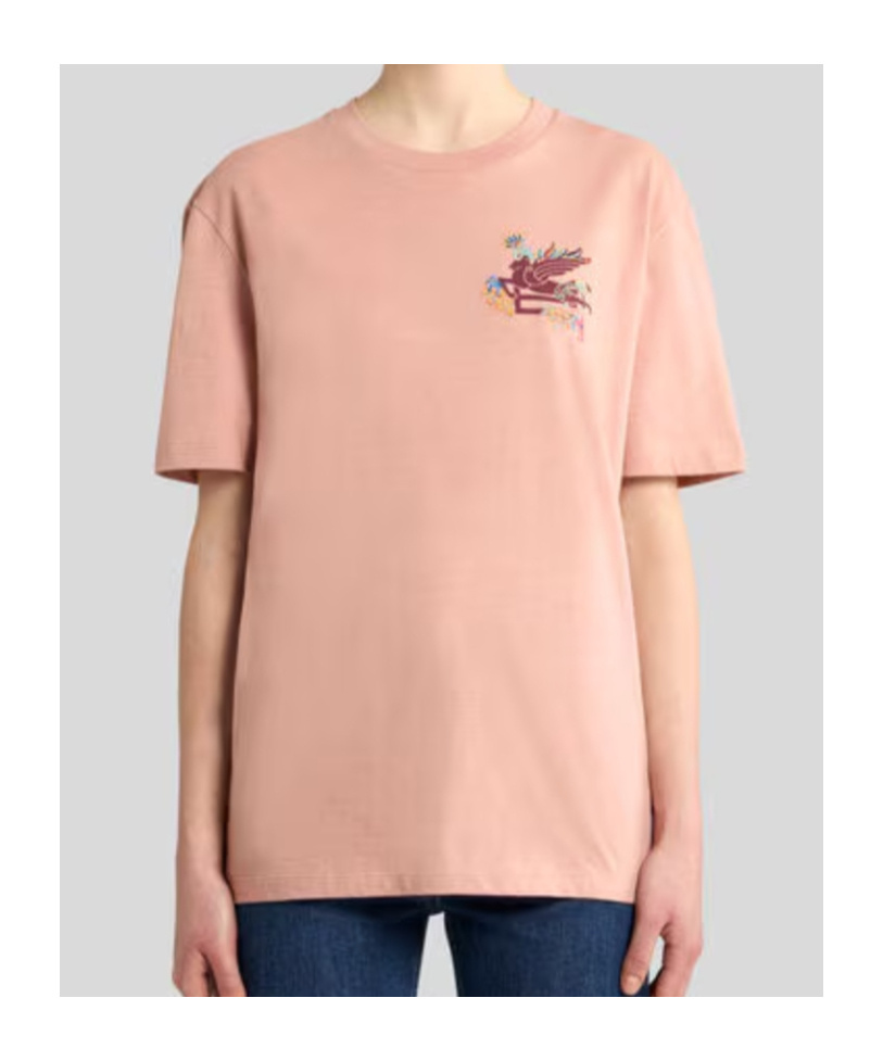 Etro Regular Fit T-shirt With Intricate Pegasus Graphic In Multi