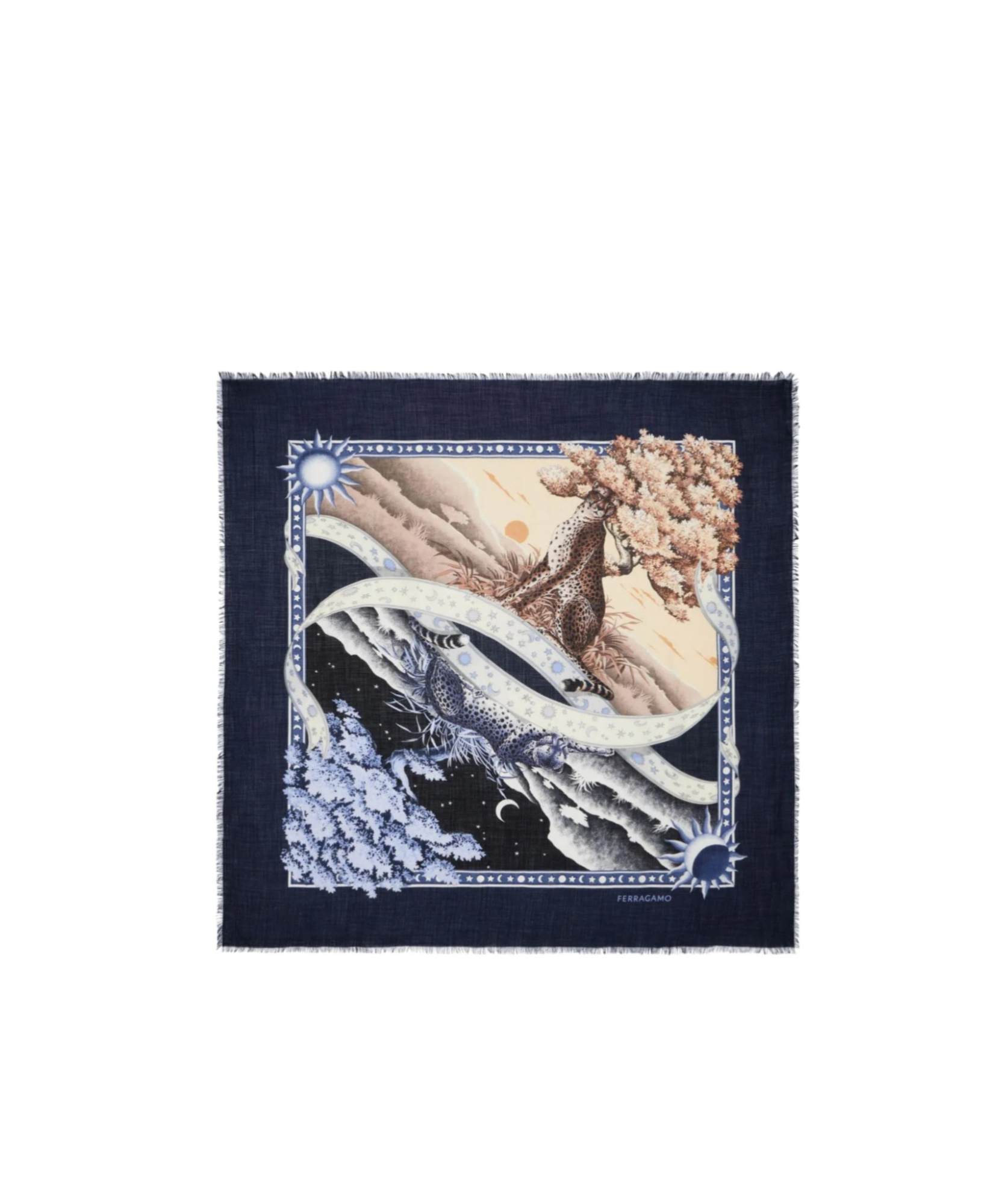 Ferragamo Printed Cashmere Scarf In Multicolor