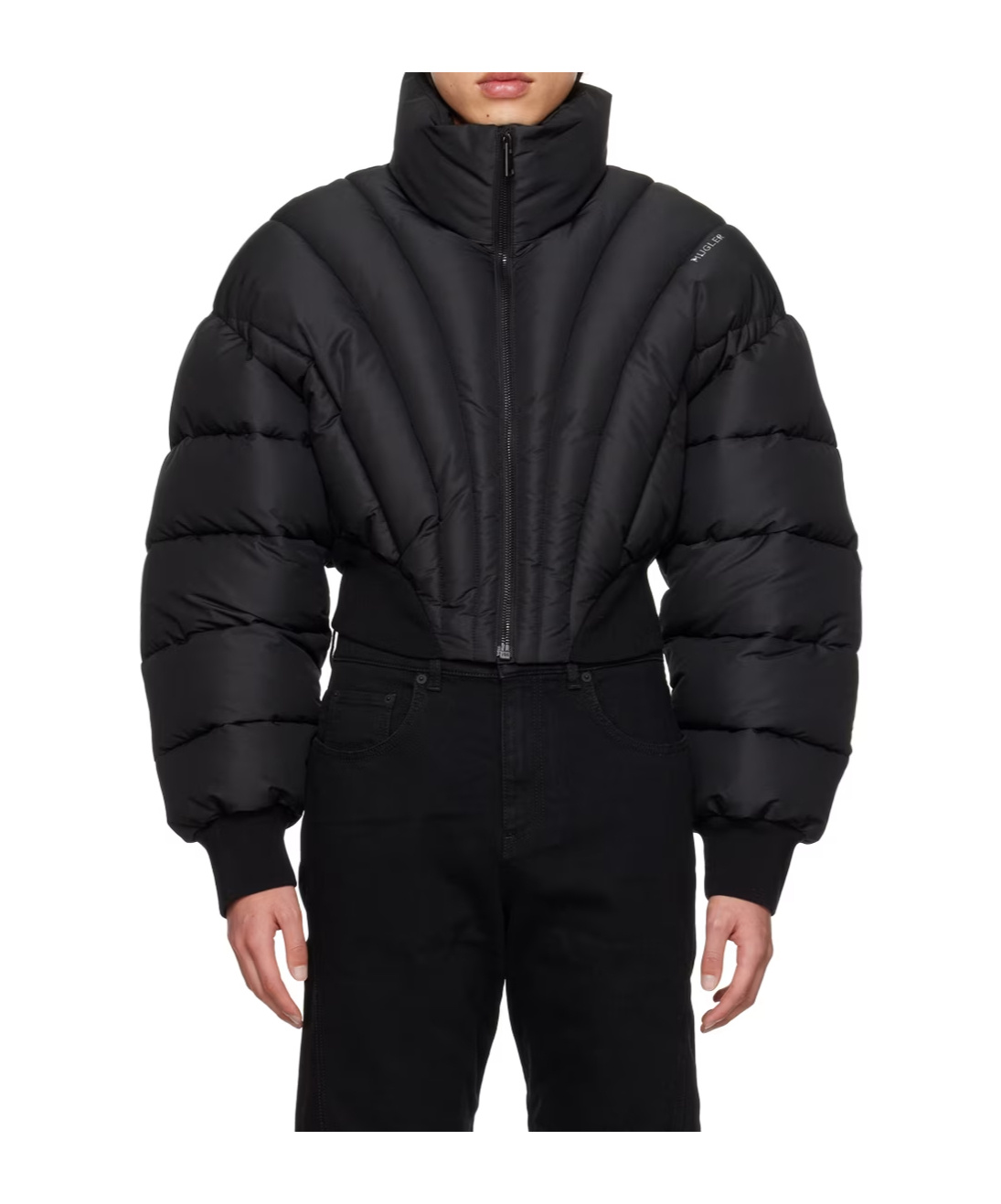 Mugler Collared Zipper Cotton-padded Jacket In Black