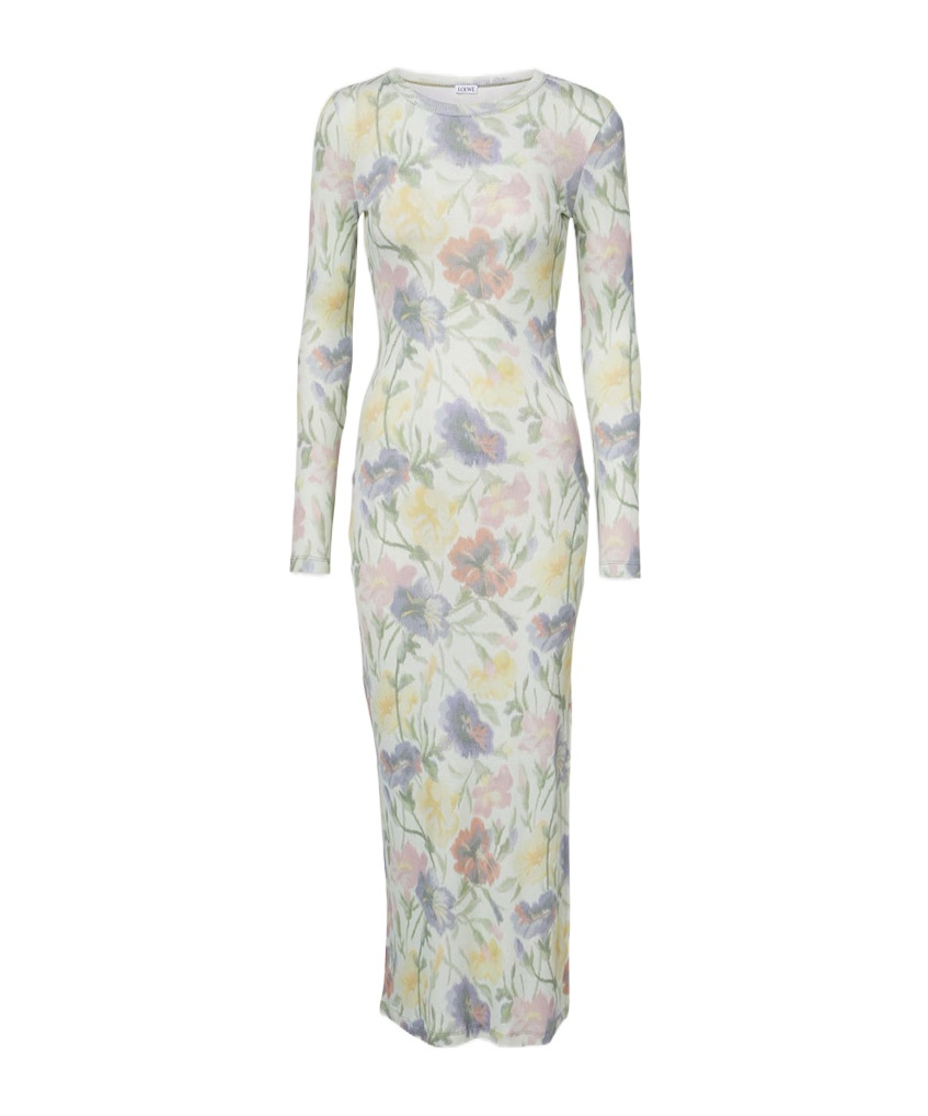 Loewe Women Morning Glory Print Cotton And Silk Multicolor Dress In White