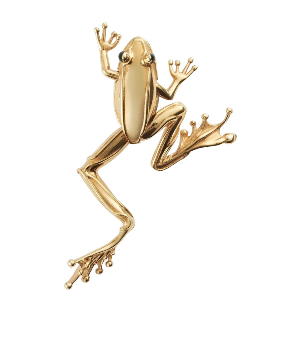 BOTTEGA VENETA RANA SMALL BROOCH
