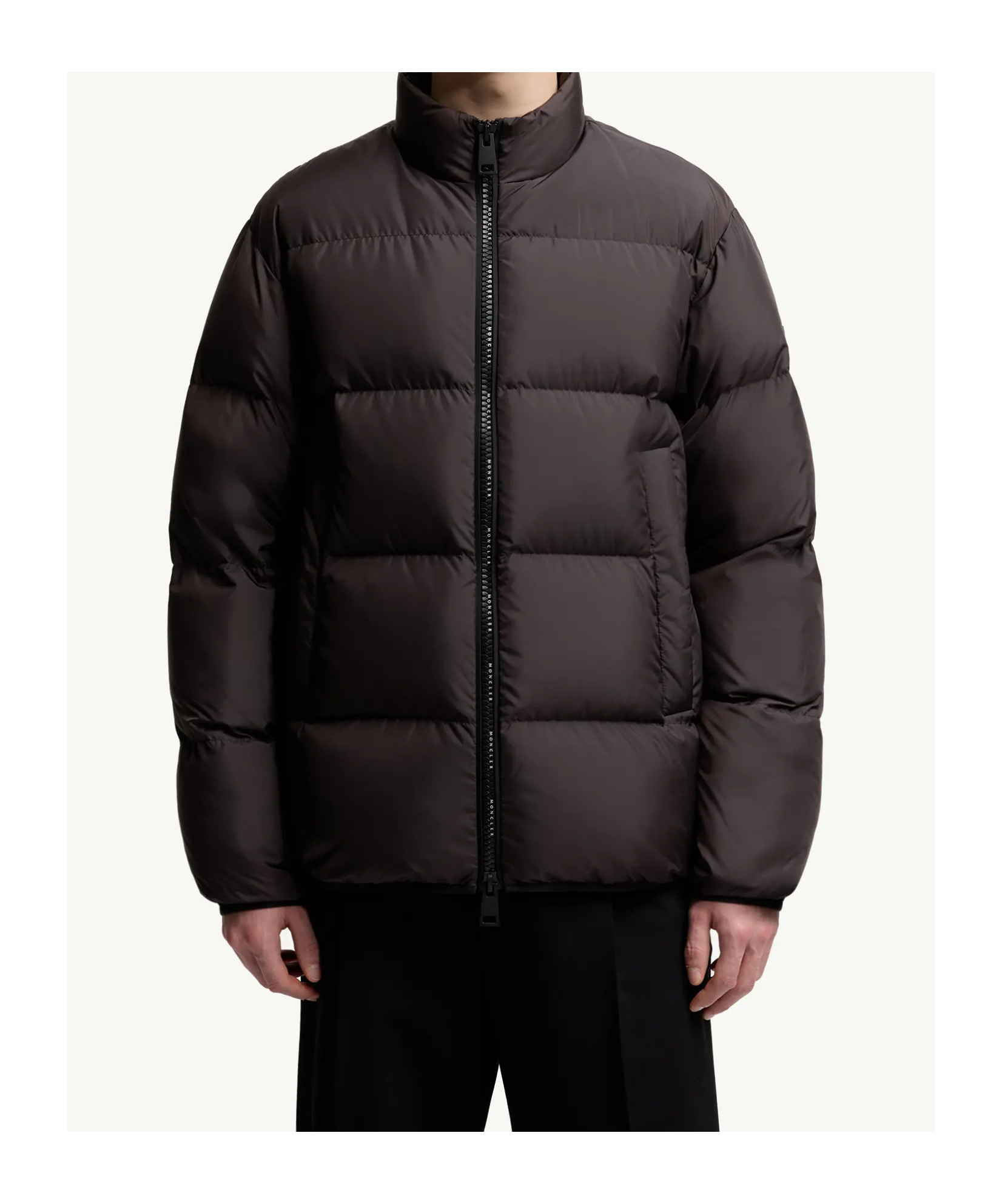 Moncler Dark Brown Nylon Erterle Down Jacket In Brown
