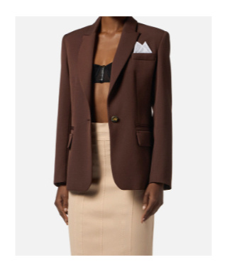 Elisabetta Franchi Single-button Gabardine Blazer In Brown