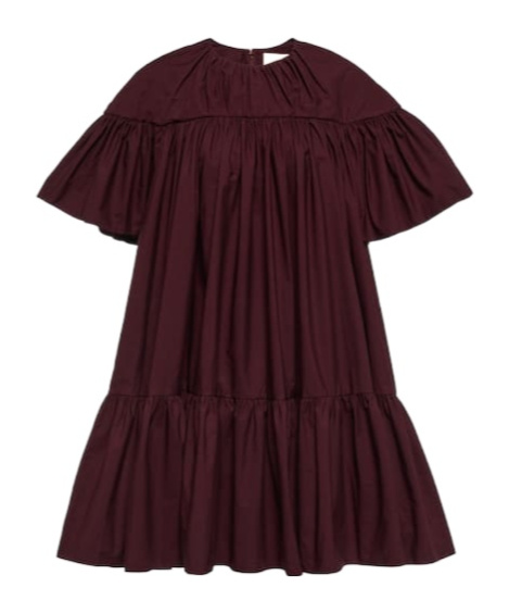 Roksanda Zuri Pleated Cotton Minidress In Brown