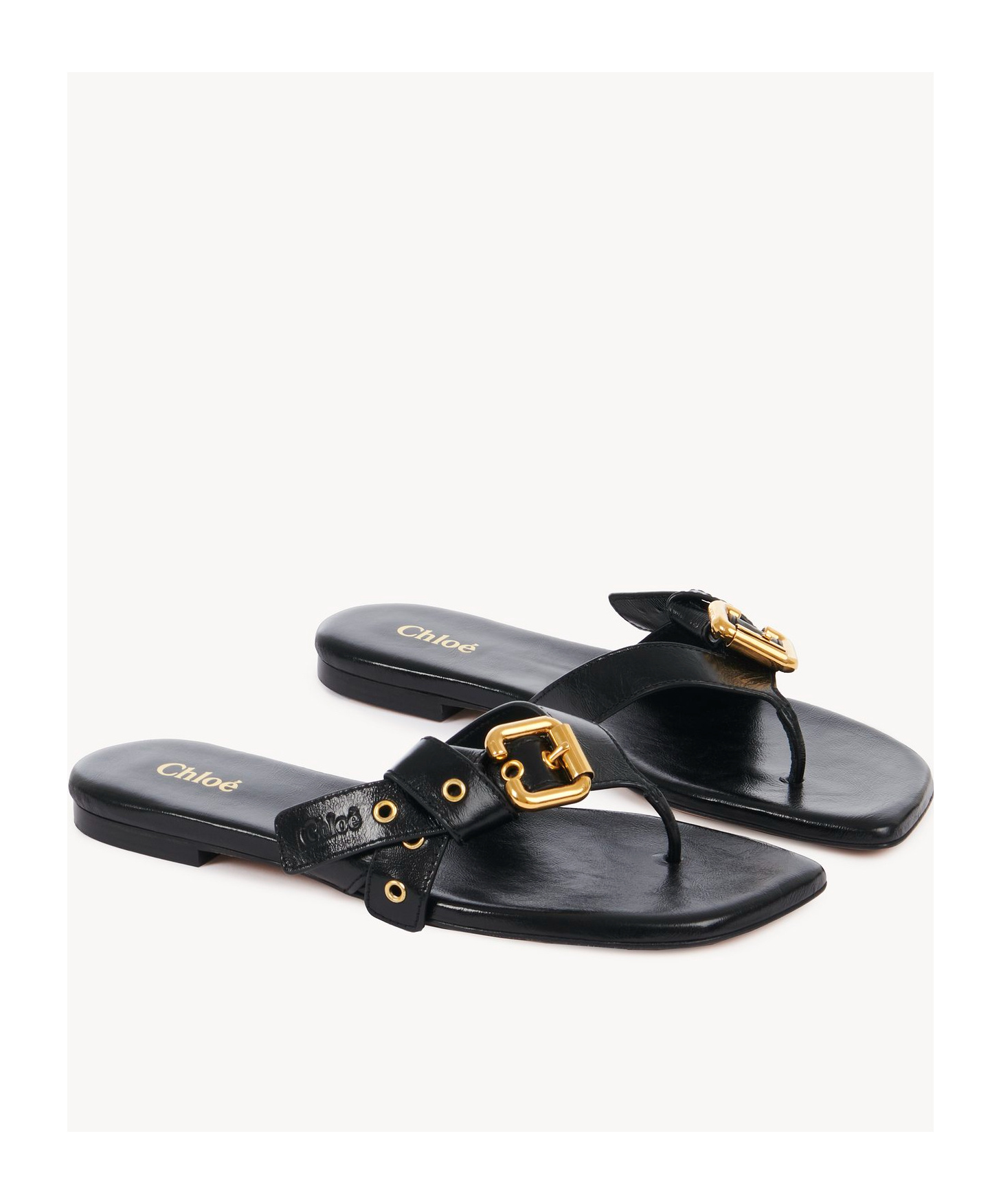 Chloé Mae Slippers In Black