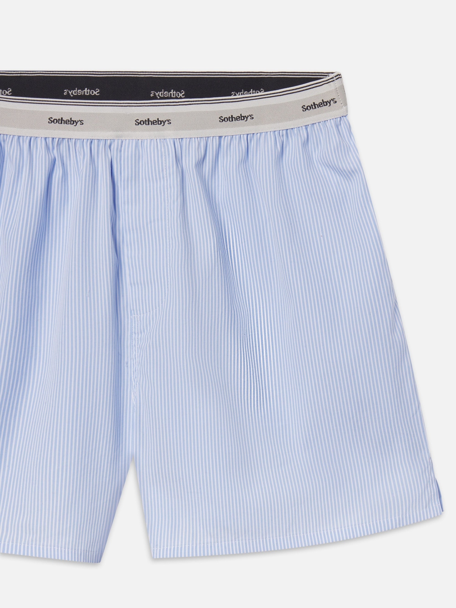 Frame Striped Boxer Briefs In Blue