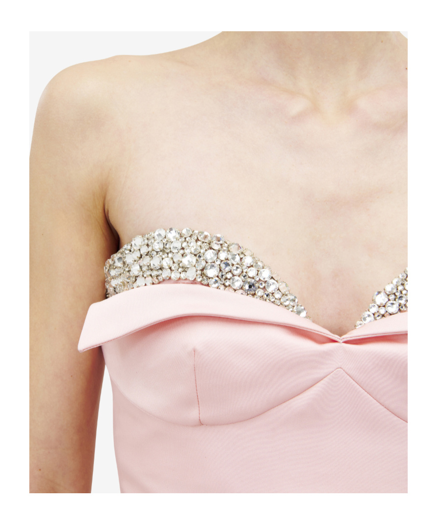 Alexander Mcqueen Strapless Crystal-embellished Taffeta Gown In Pink