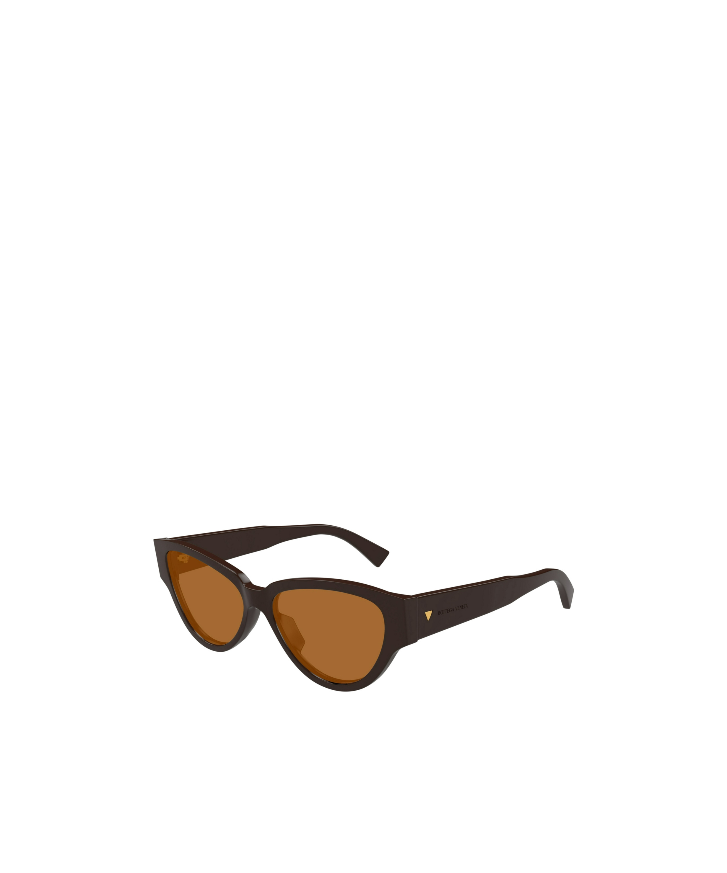 Bottega Veneta Bv1319s 003 In Brown