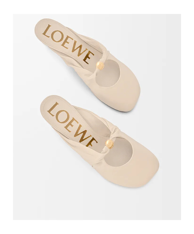 Loewe Pebble Mules In Lambskin Nappa In Multi