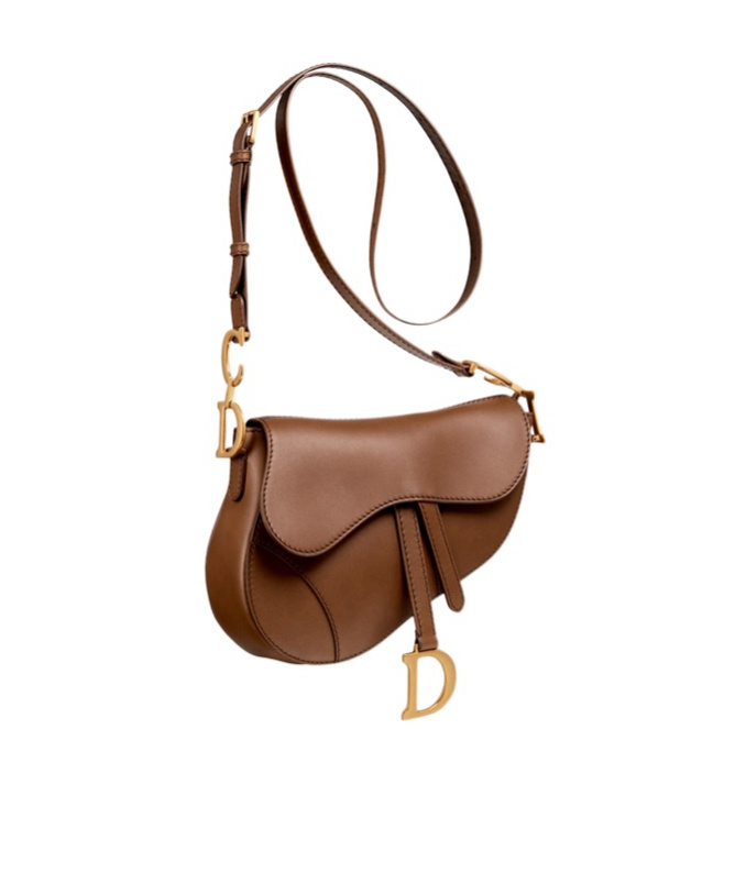 Dior Medium Saddle Shoulder Bag In Brown