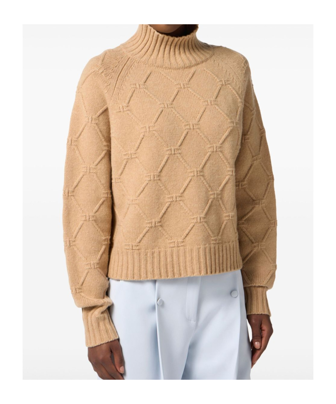 Elisabetta Franchi Diamond-pattern Turtleneck Sweater In Brown