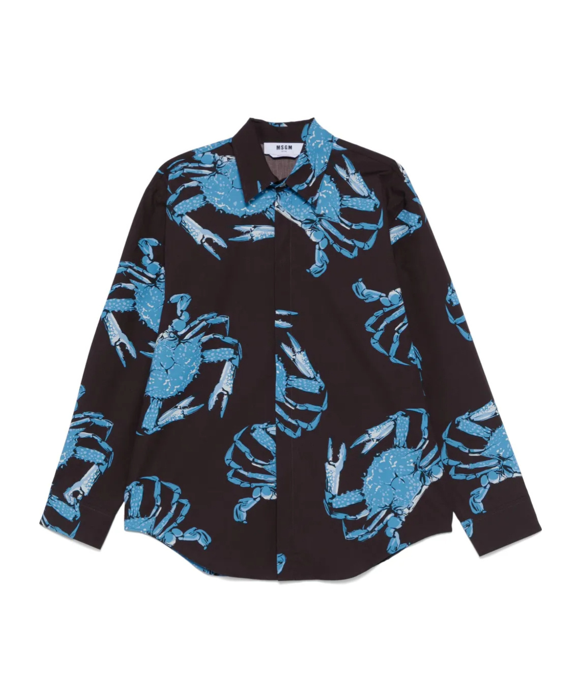Msgm King Crab-print Cotton Shirt In Cedar Brown