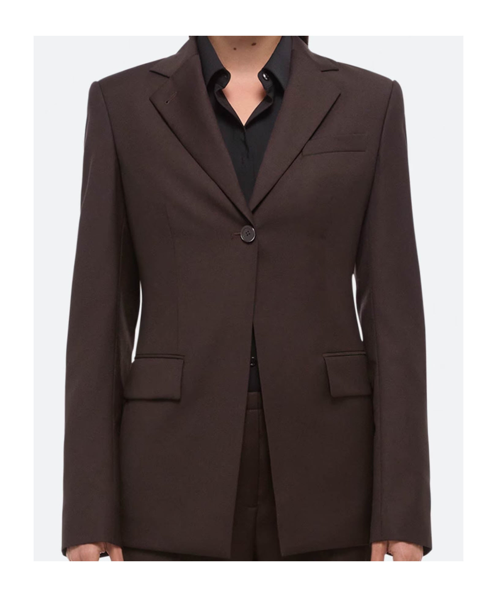 Helmut Lang Long-sleeved Suit Jacket In Brown