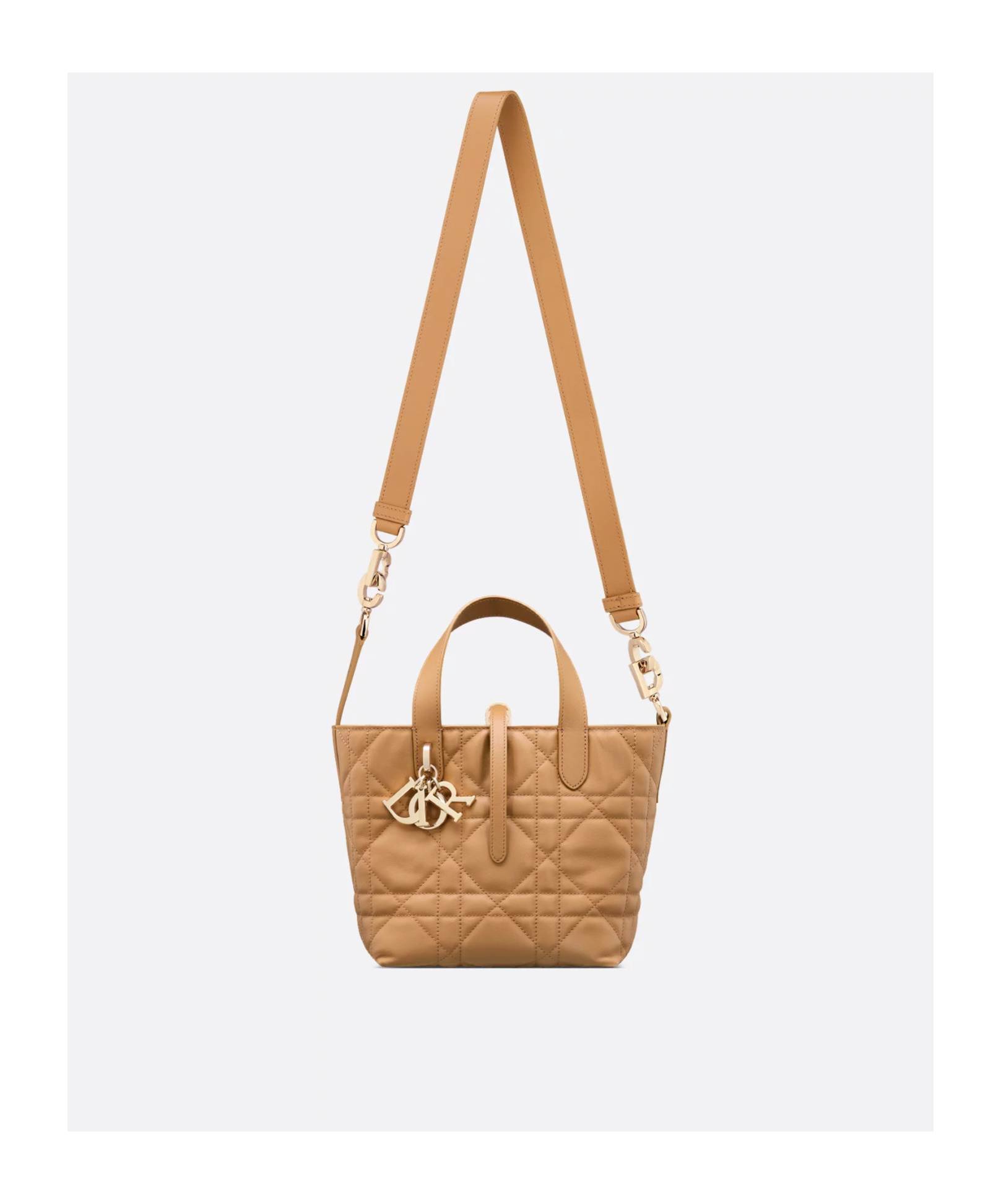 Dior Small  Toujours Vertical Tote Bag In Nude
