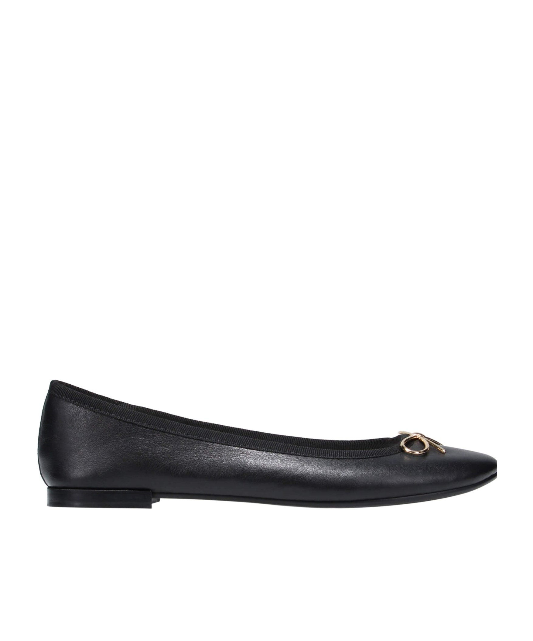 Repetto Flat Ballet Shoes In Black