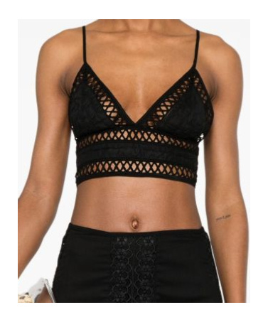 Charo Ruiz Cropped Tops