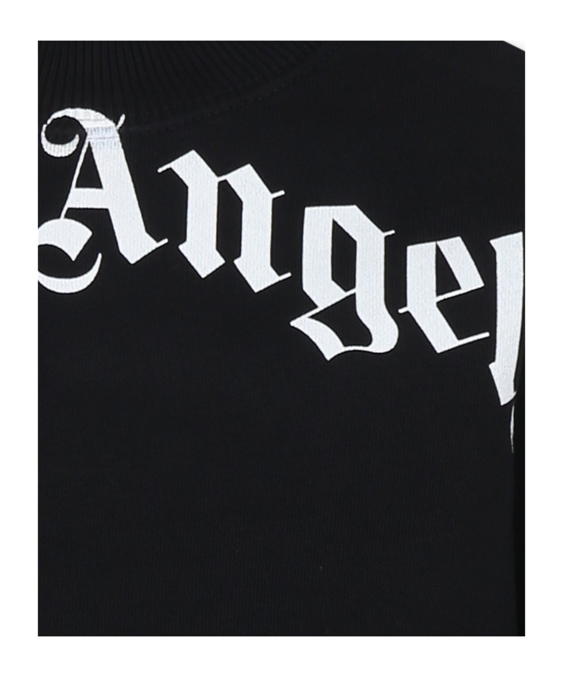 Palm Angels Felpa Classic Curved Logo In Black