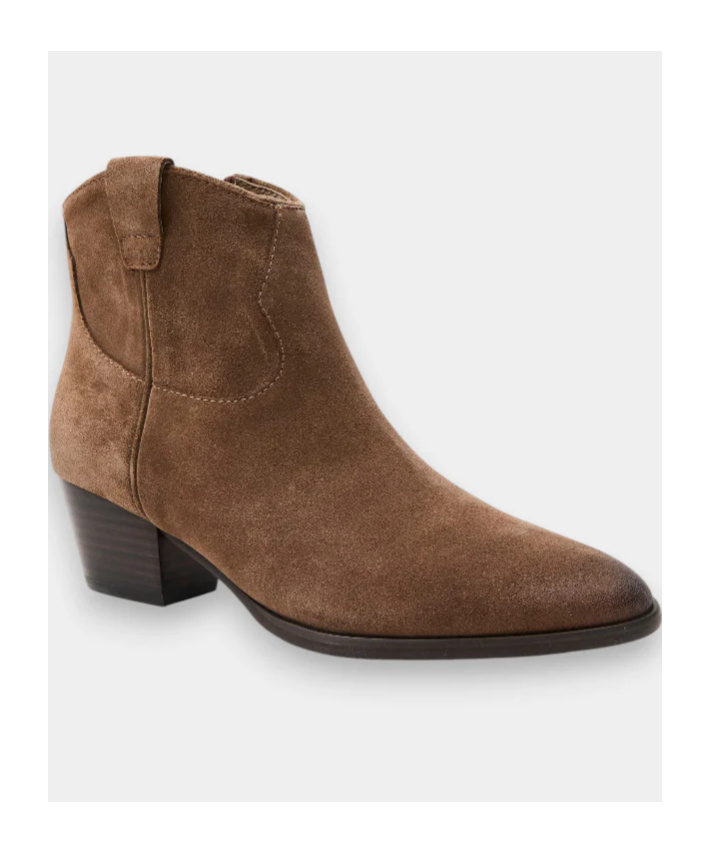 Ash Pointed Ankle Boots In Brown