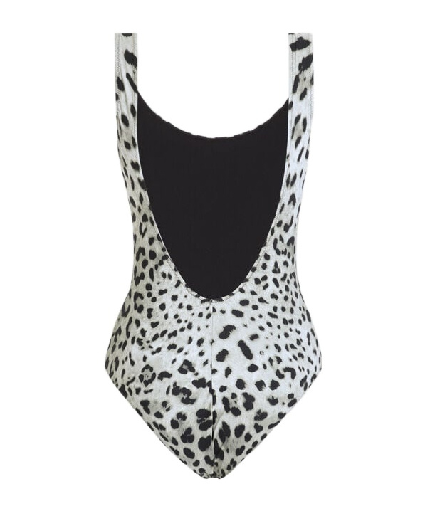 Dolce & Gabbana Leopard Print Olympic One-piece Swimsuit In Gray