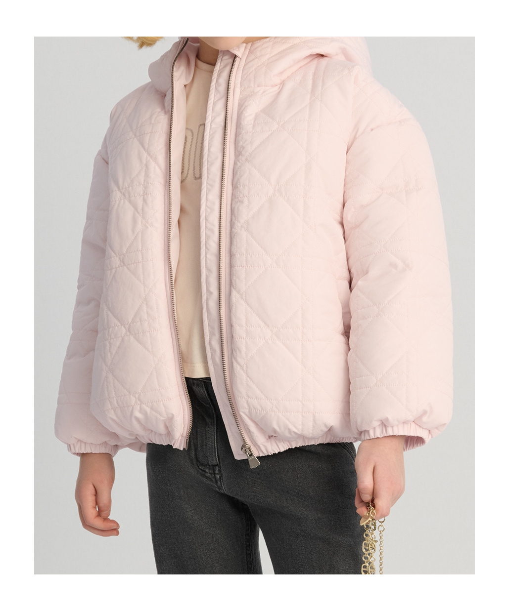 Dior Hooded Down Jacket In Pink