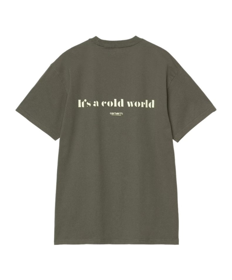 Carhartt Cold World Graphic-print T-shirt In Gray