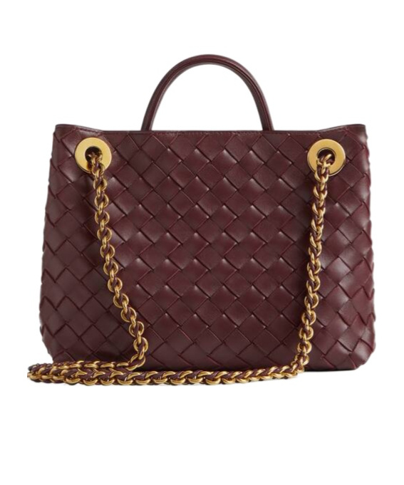 Bottega Veneta Small Andiamo Chain In Brown